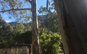 Grampians Nest